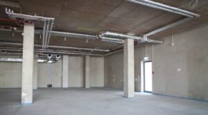 Bare Shell Vs Warm Shell Properties